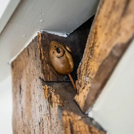 Black Horse Grassington